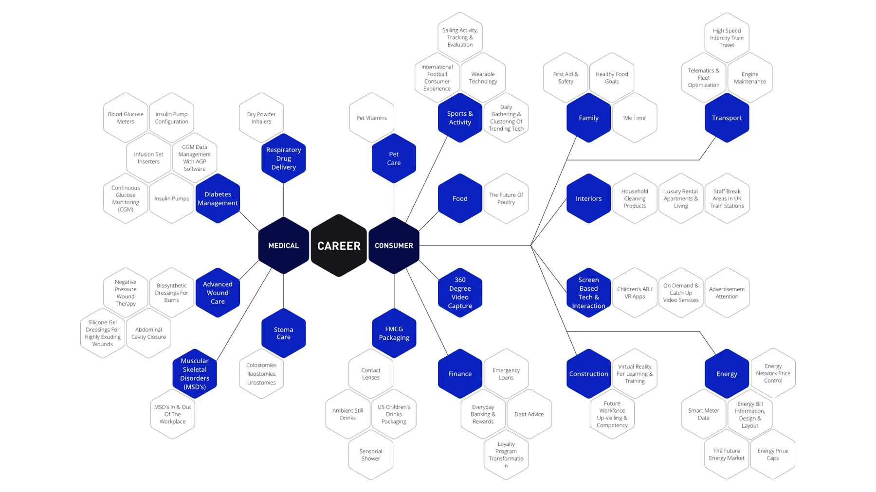 Career map showing 46 research projects across Medical (13) and Consumer (33) sectors, including Diabetes Management, Advanced Wound Care, Energy, Finance, Transport and more